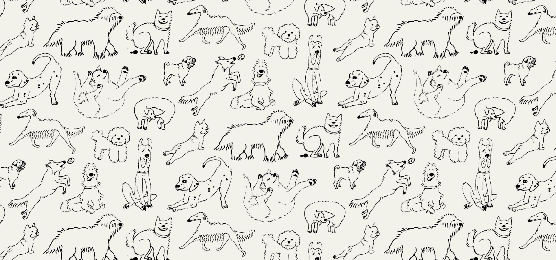 slider image 1621243260e1af0c20-0