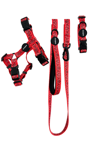 Ultimate walking set - Cherry Red Paisley