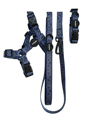 Ultimate Walking Set - Deep Blue Paisley