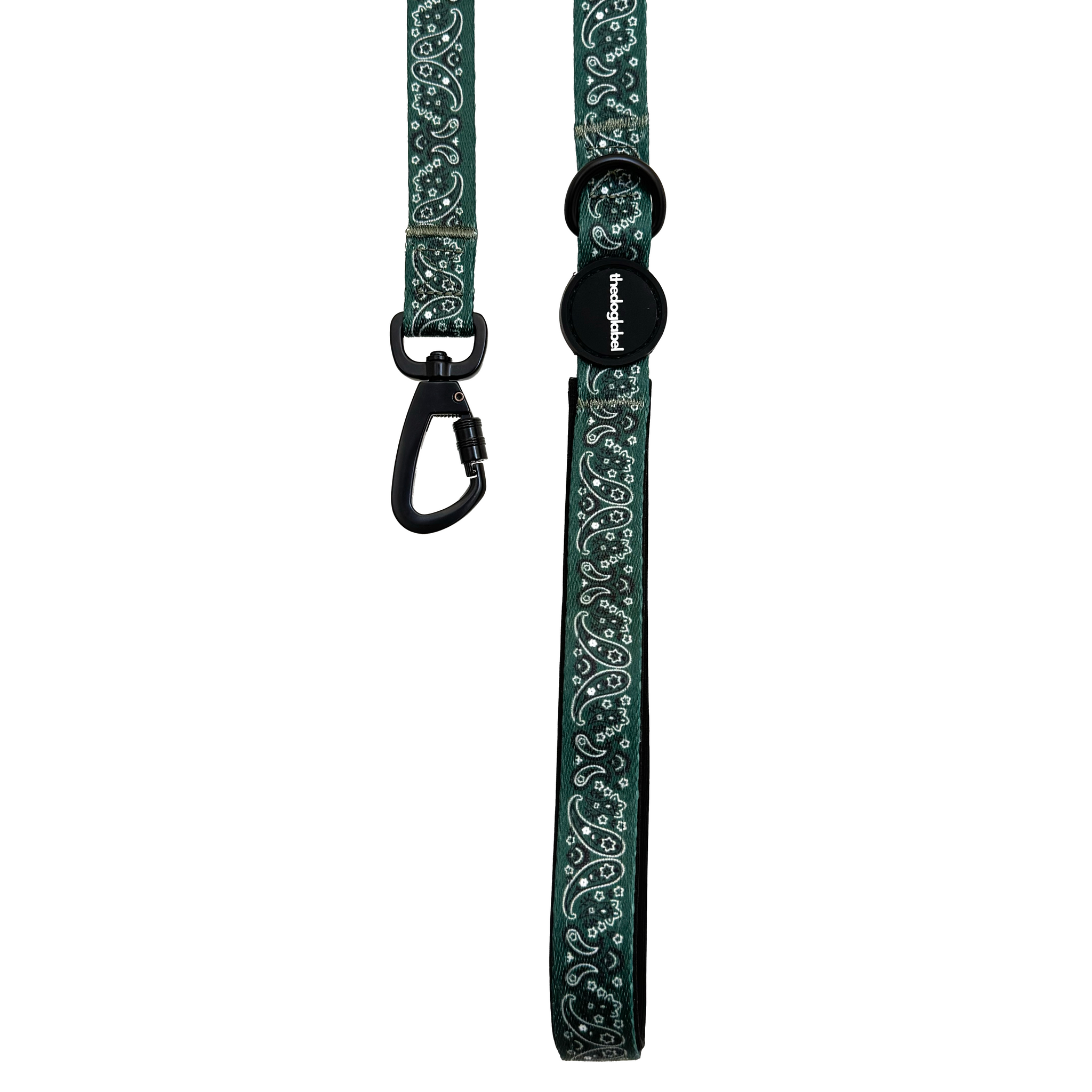 Classic Leash - Forest Green Paisley