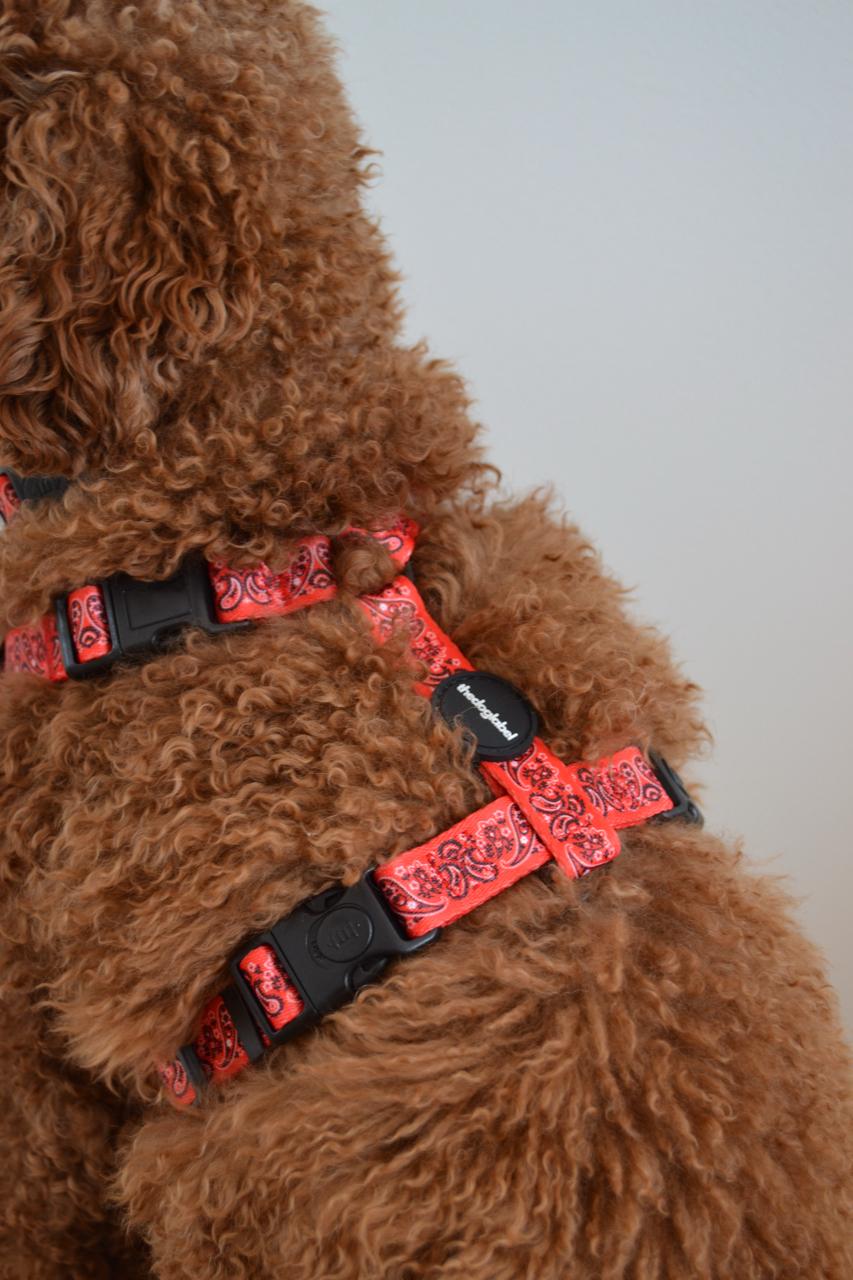 H-Shape Harness - Cherry Red Paisley