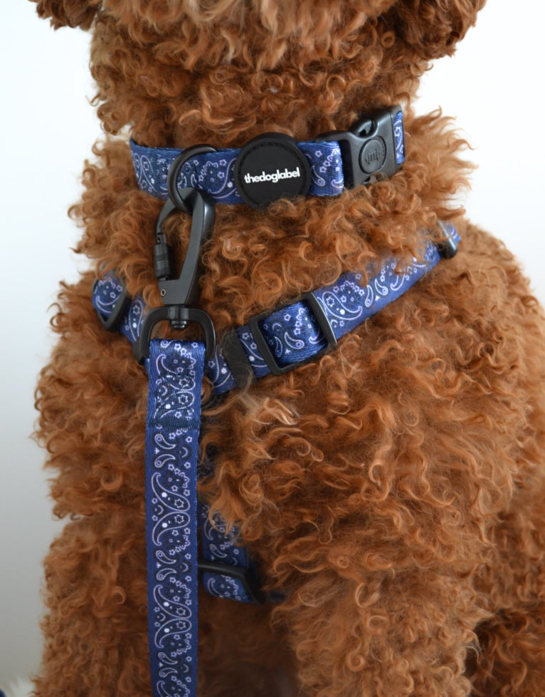 Ultimate Walking Set - Deep Blue Paisley