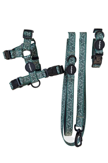 Ultimate Walking Set - Forest Green Paisley